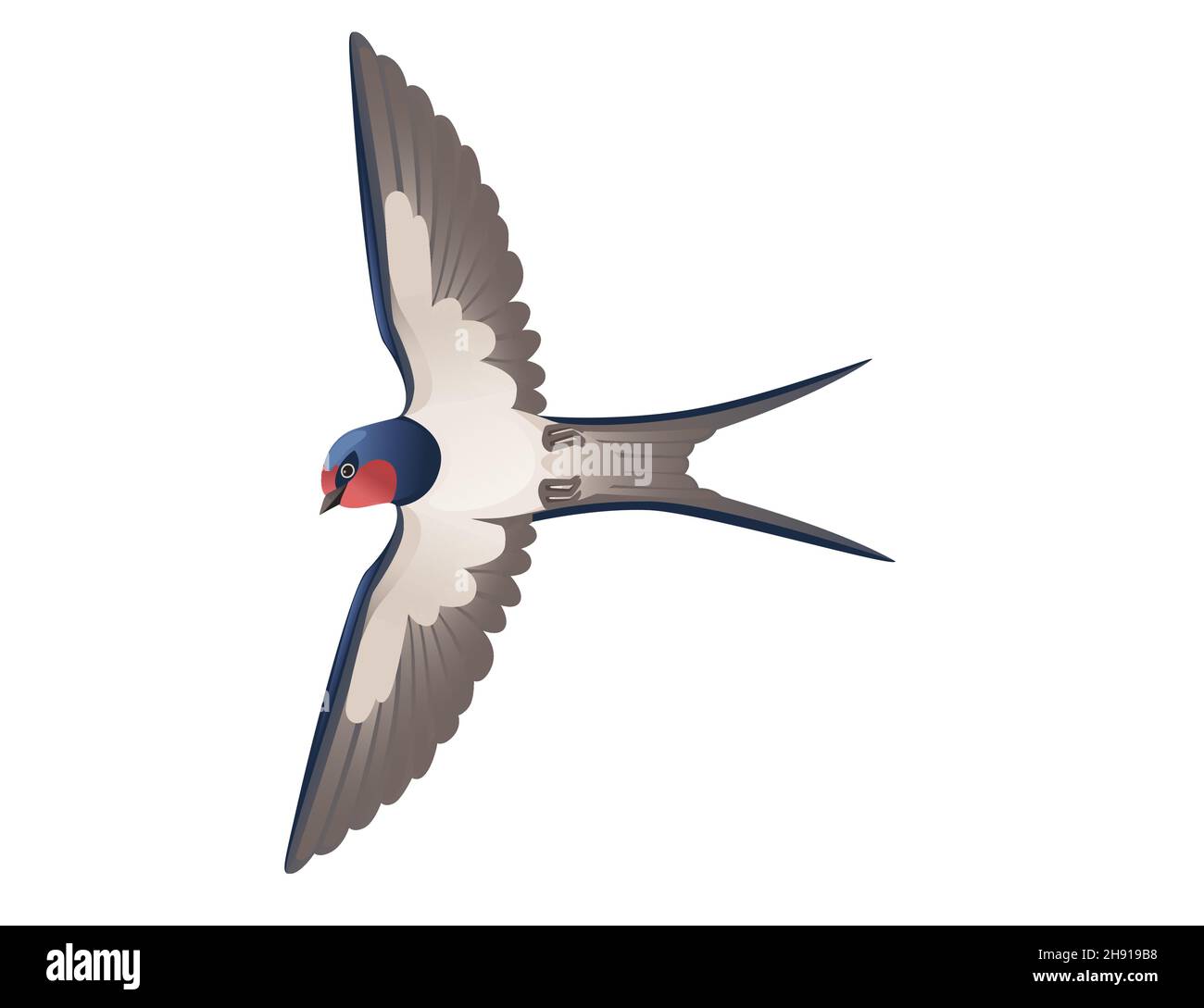 Joli hirondelles volant sur fond blanc dessin animal de dessin animé oiseau Illustration de Vecteur