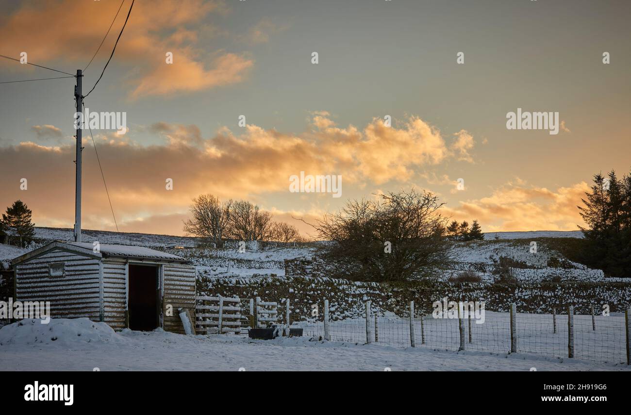 Un ciel de novembre soir éclaire le petit hangar de chèvre et de mouton Banque D'Images