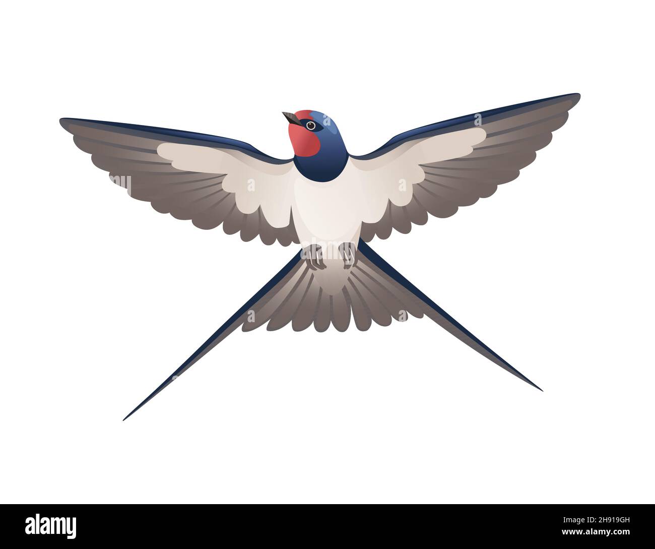 Joli hirondelles volant sur fond blanc dessin animal de dessin animé oiseau Illustration de Vecteur