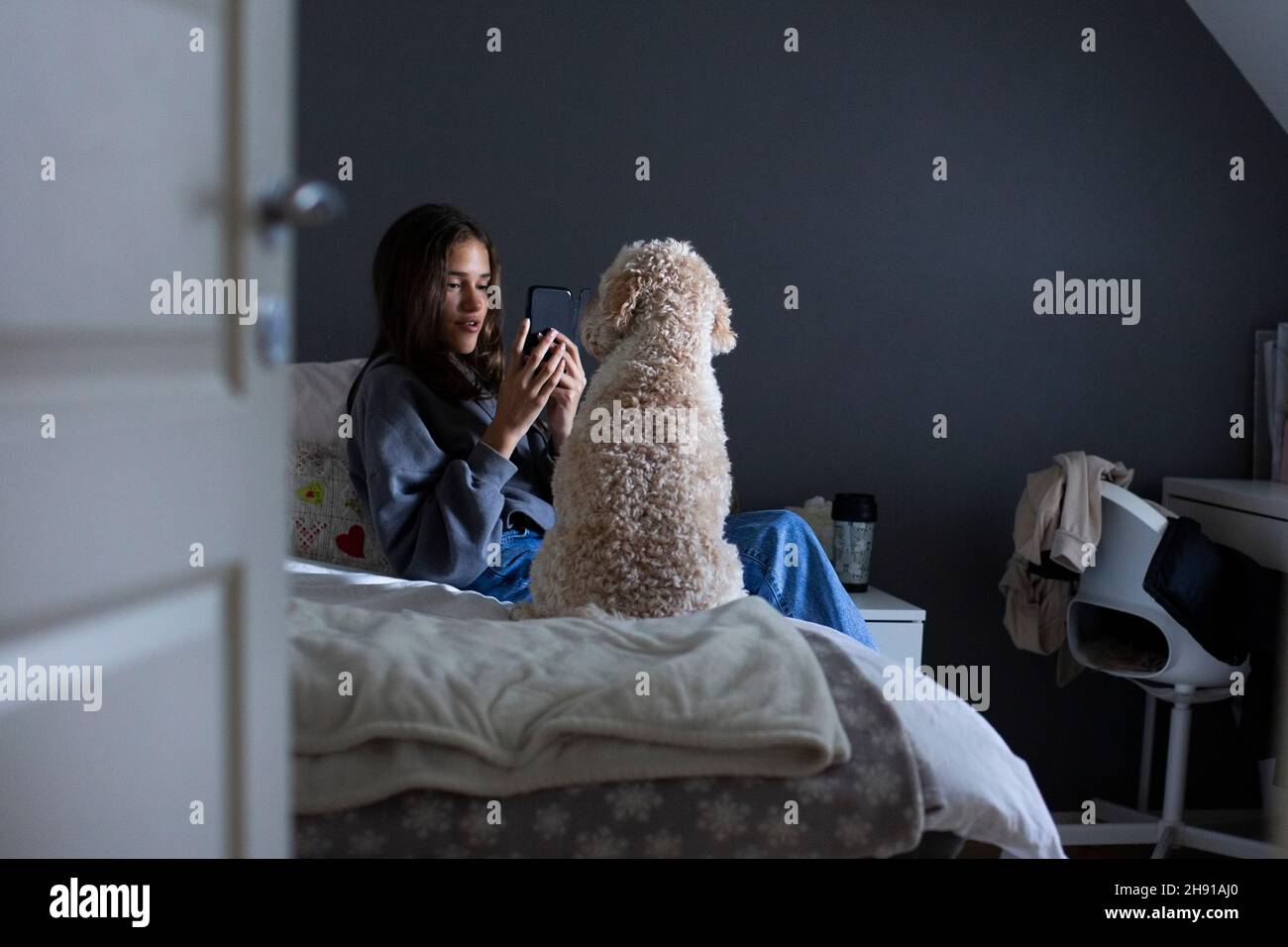 Une fille qui photographie son chien à travers un smartphone dans sa chambre Banque D'Images