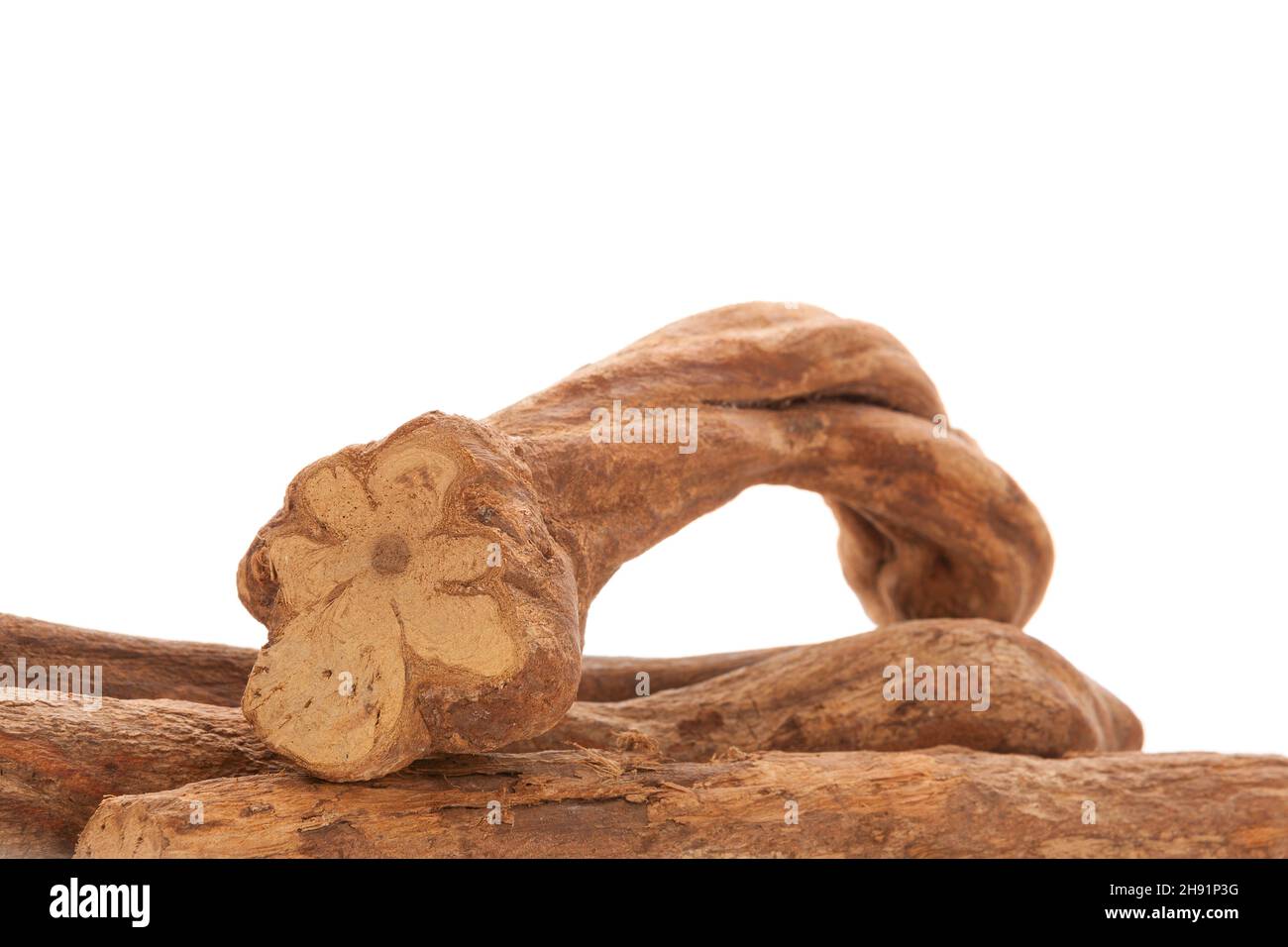 Vigne ayahuasca. Bois de Banisteriopsis caapi isolé sur fond blanc. Médecine des plantes chamanique. Autres thérapies. Enthéogène. Banque D'Images