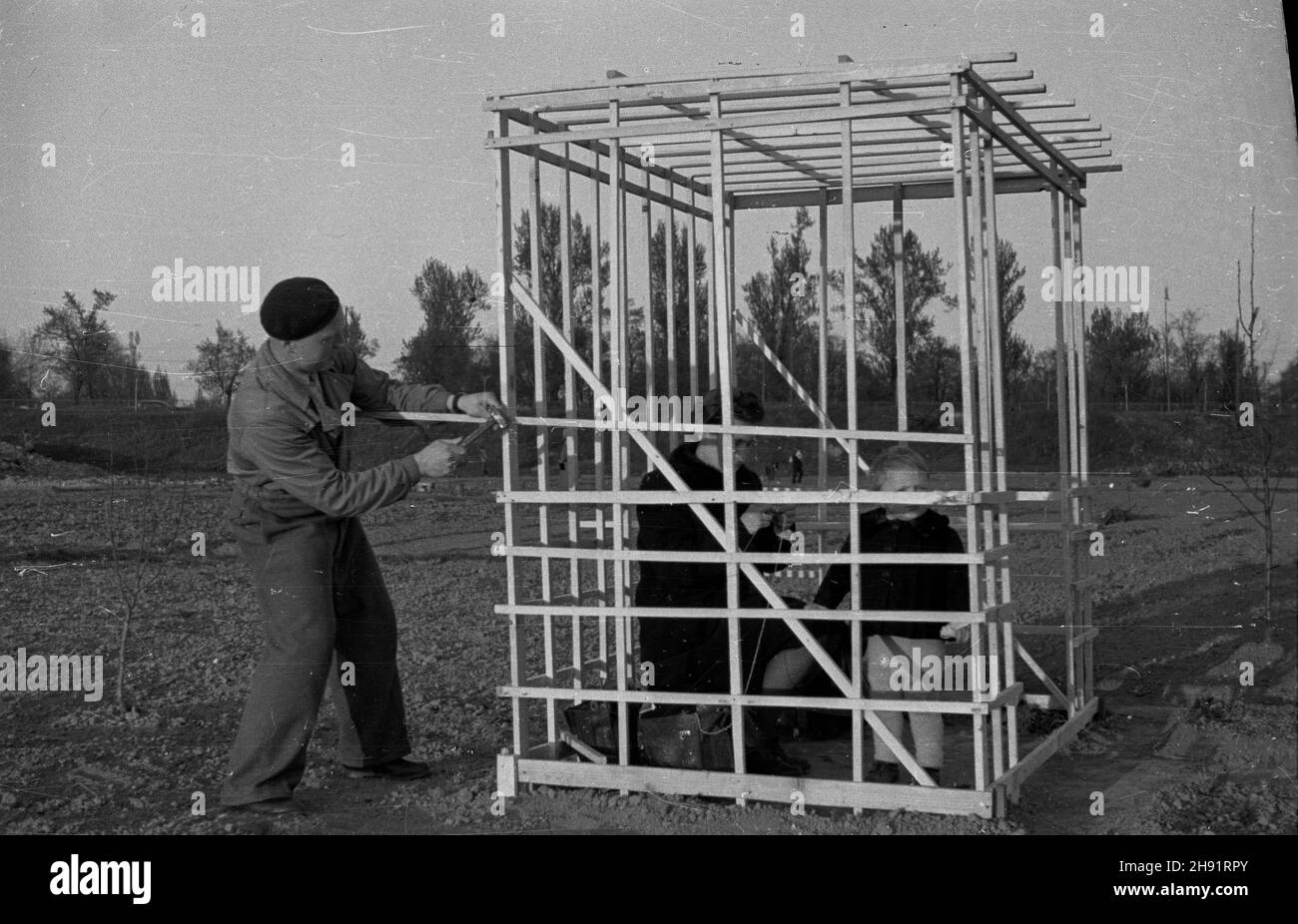 Varsovie, 1947-05.Pragownik Ministerstwa Zdrowia G. Wa³kuski buduje altankê na swoim ogródku dzia³kowym.W œrodku altanki ¿ona i córka dzia³kowca. bb/gr PAP Dok³adny dzieñ wydarzenia nieustalony.Varsovie, mai 1947.G. Walkuski, employé du ministère de la Santé, construit une maison d'été sur sa parcelle de jardinage.A l'intérieur de la construction se trouvent sa femme et sa fille. bb/gr PAP Banque D'Images