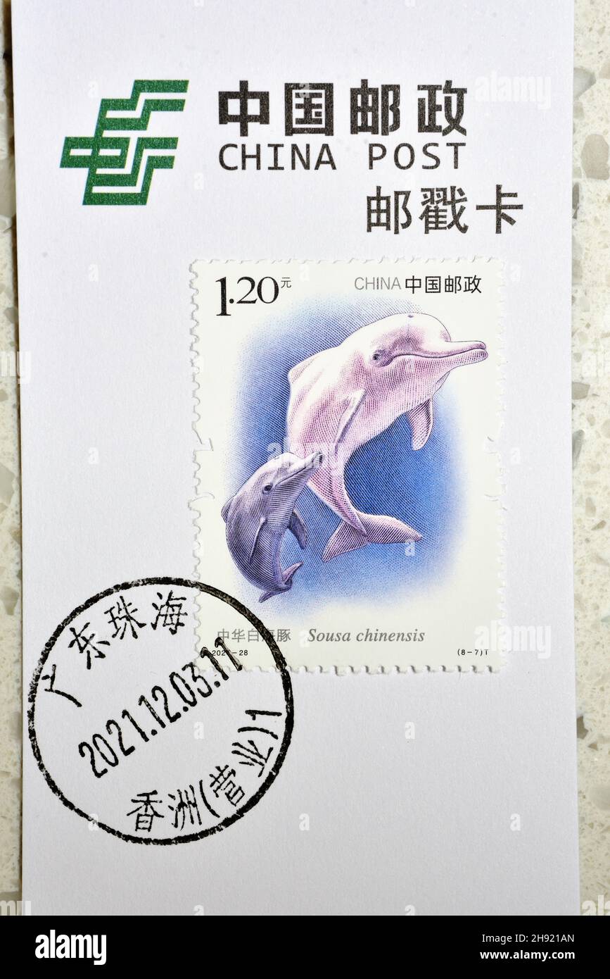 CHINE - VERS 2021: Un timbre imprimé en Chine montre 2021-28 animaux sauvages dauphin blanc chinois, vers 2021. Banque D'Images