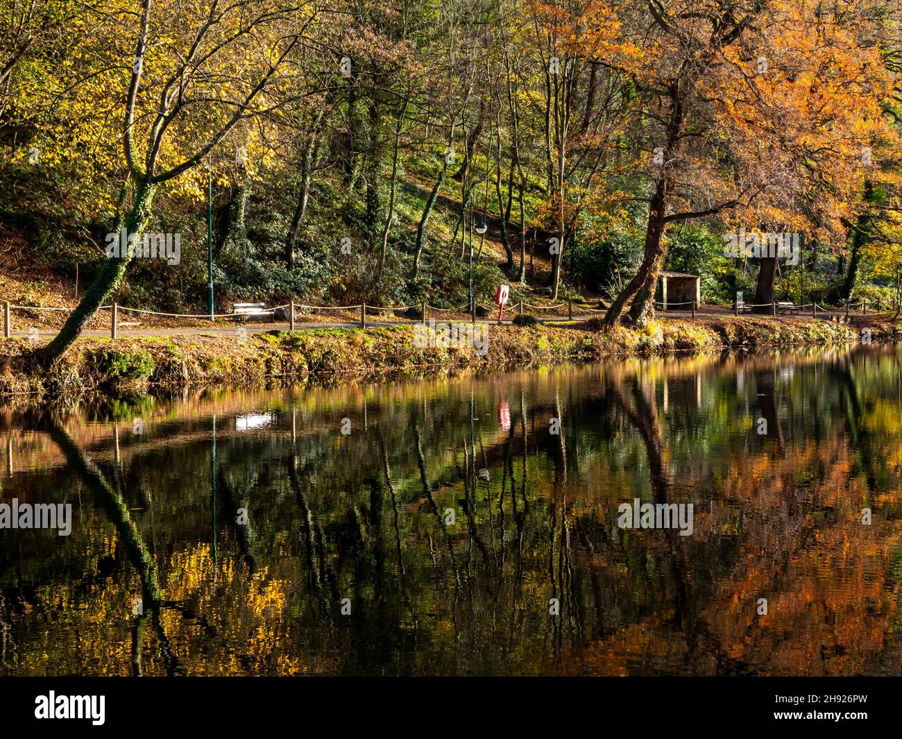 Arbres d'automne reflétés dans l'eau fixe de la rivière Derwent dans le Matlock Bath Derbyshire Angleterre Royaume-Uni Banque D'Images