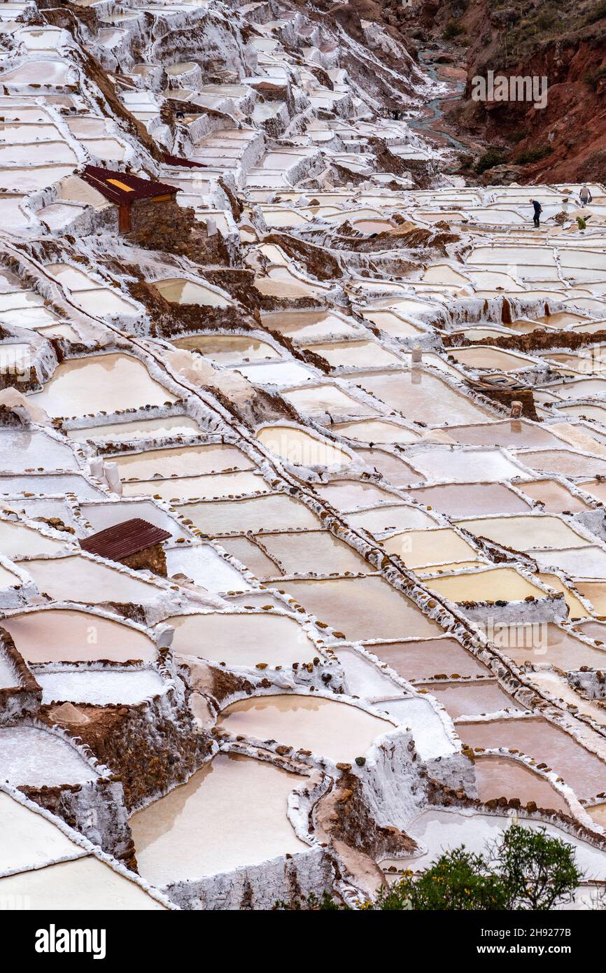 Plan vertical des terrasses salées de Maras au Pérou Banque D'Images