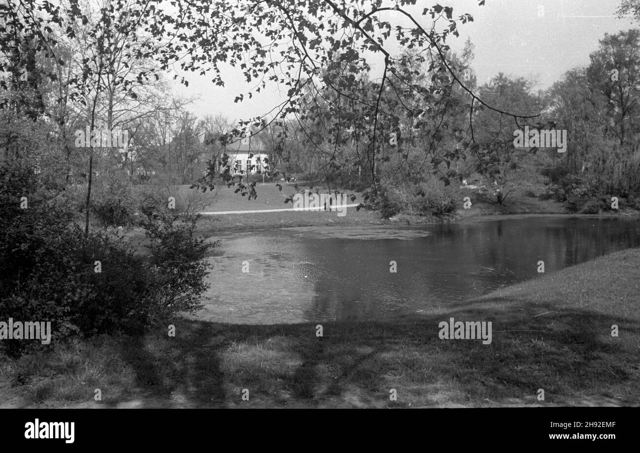 Poznañ, 1947-05.Staw W parku Wilsona. ka PAPPoznan, mai 1947.Un étang dans le parc Wilsona. ka PAP Banque D'Images