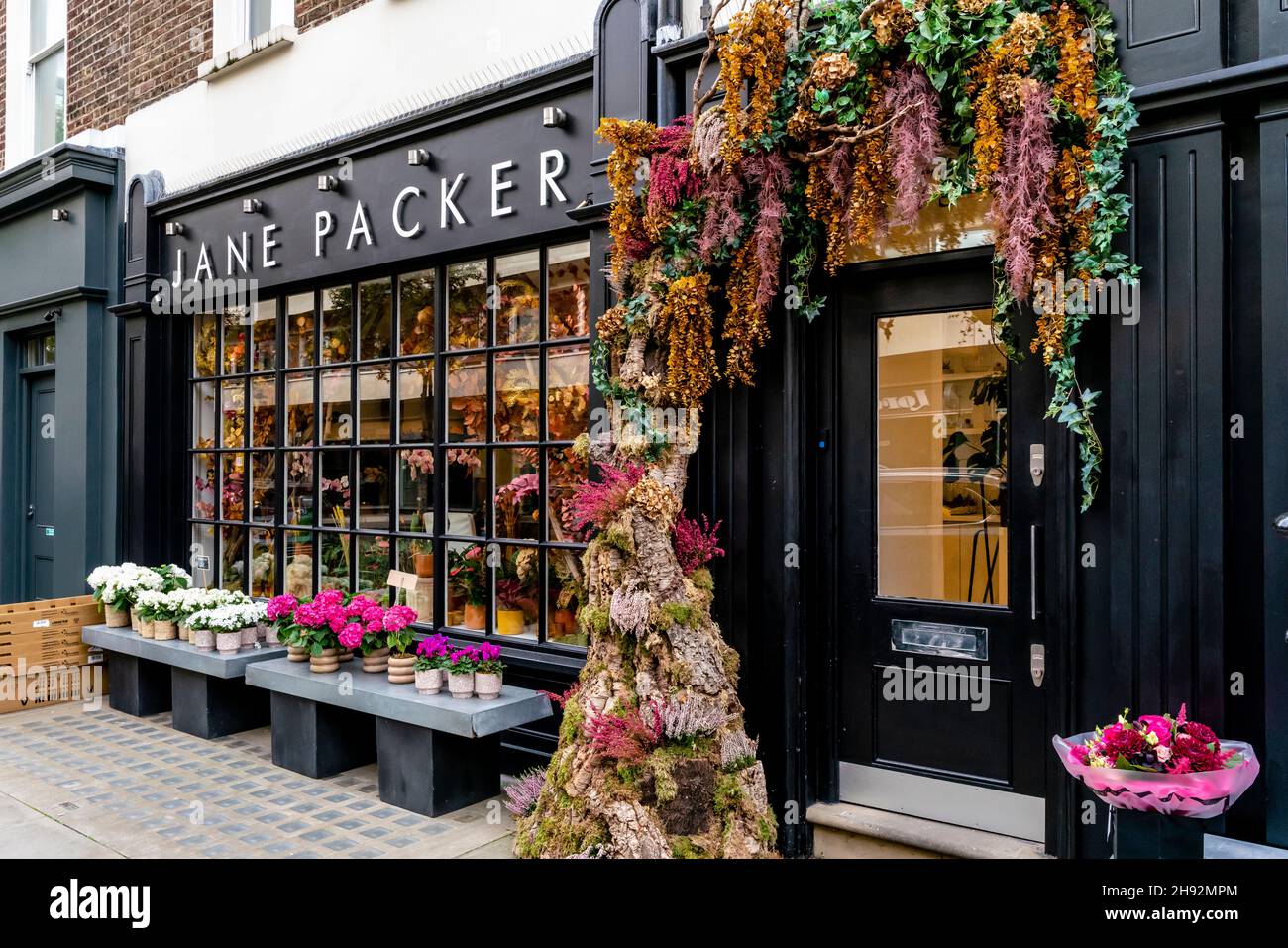 Jane Packer Flower Shop, Marylebone, Londres, Royaume-Uni. Banque D'Images