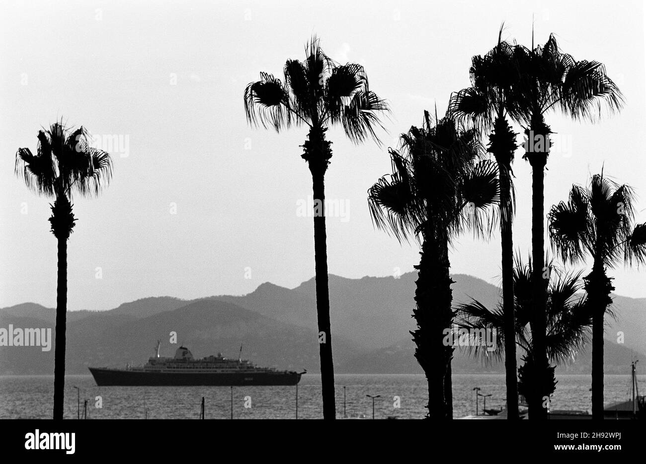 AJAXNETPHOTO.2004. CANNES, FRANCE.- COTE D'AZUR RESORT - VUE À L'OUEST SUR LA BAIE DE CANNES AVEC UN PAQUEBOT DE CROISIÈRE ANCRÉ DANS LA BAIE AU-DELÀ DES PALMIERS SUR LA CROISETTE.PHOTO:JONATHAN EASTLAND/AJAX REF:M7 2004 Banque D'Images