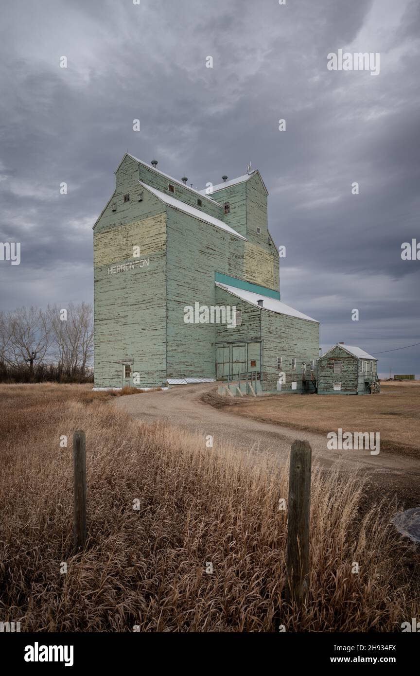 Herronton (Alberta) - le 12 novembre 2021 : ancien élévateur de grain Alberta Wheat Pool de Herronton. Banque D'Images