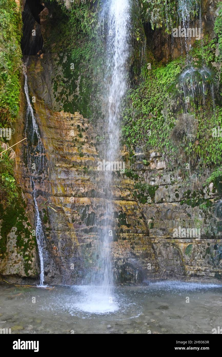 Cascades du parc national d'Ein Gedi - Réserve naturelle, Israël Banque D'Images