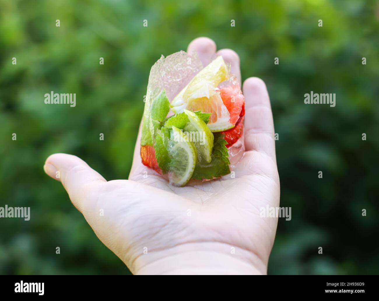 Faire fondre le cube de glace avec des feuilles de fraise, de citron et de menthe verte fraîche dans une main Banque D'Images