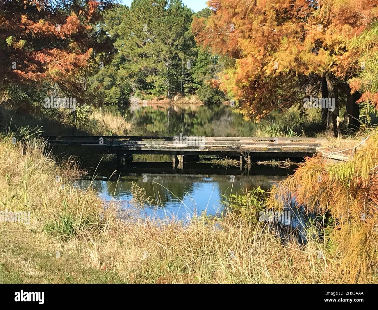 Paysage d'automne dans l'est de la Caroline du Nord Banque D'Images