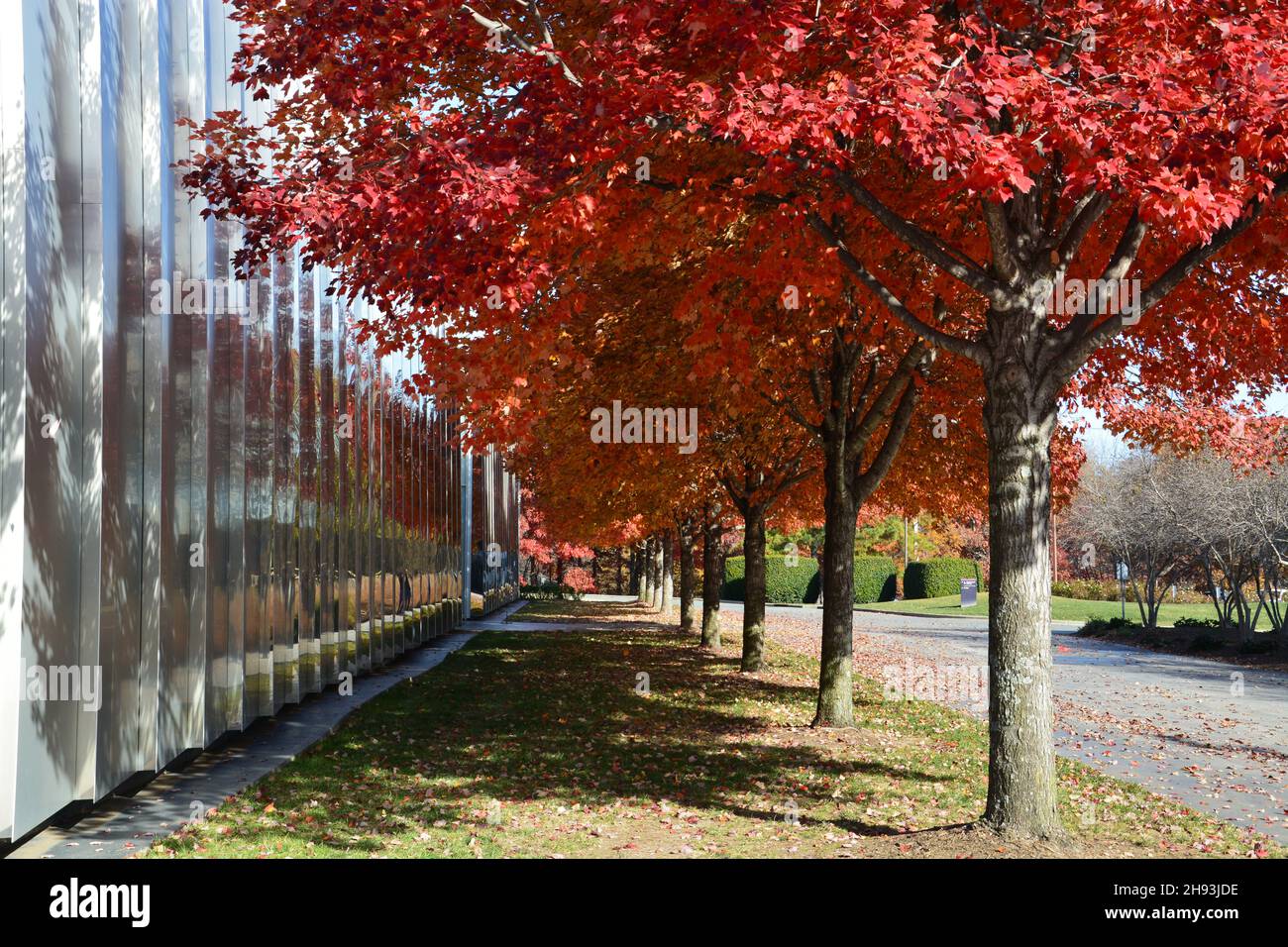 Couleurs d'automne à l'extérieur du bâtiment ouest du musée d'art de Caroline du Nord à Raleigh, en Caroline du Nord. Banque D'Images Couleurs d'automne à l'extérieur du bâtiment ouest du musée d'art de Caroline du Nord à Raleigh, en Caroline du Nord. Banque D'Images