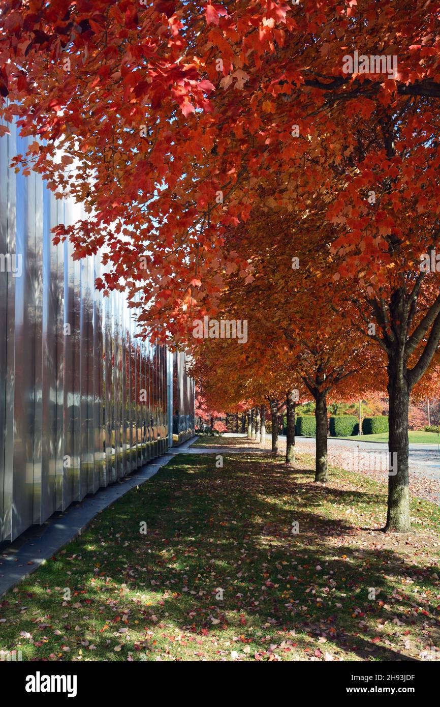 Couleurs d'automne à l'extérieur du bâtiment ouest du musée d'art de Caroline du Nord à Raleigh, en Caroline du Nord. Banque D'Images Couleurs d'automne à l'extérieur du bâtiment ouest du musée d'art de Caroline du Nord à Raleigh, en Caroline du Nord. Banque D'Images