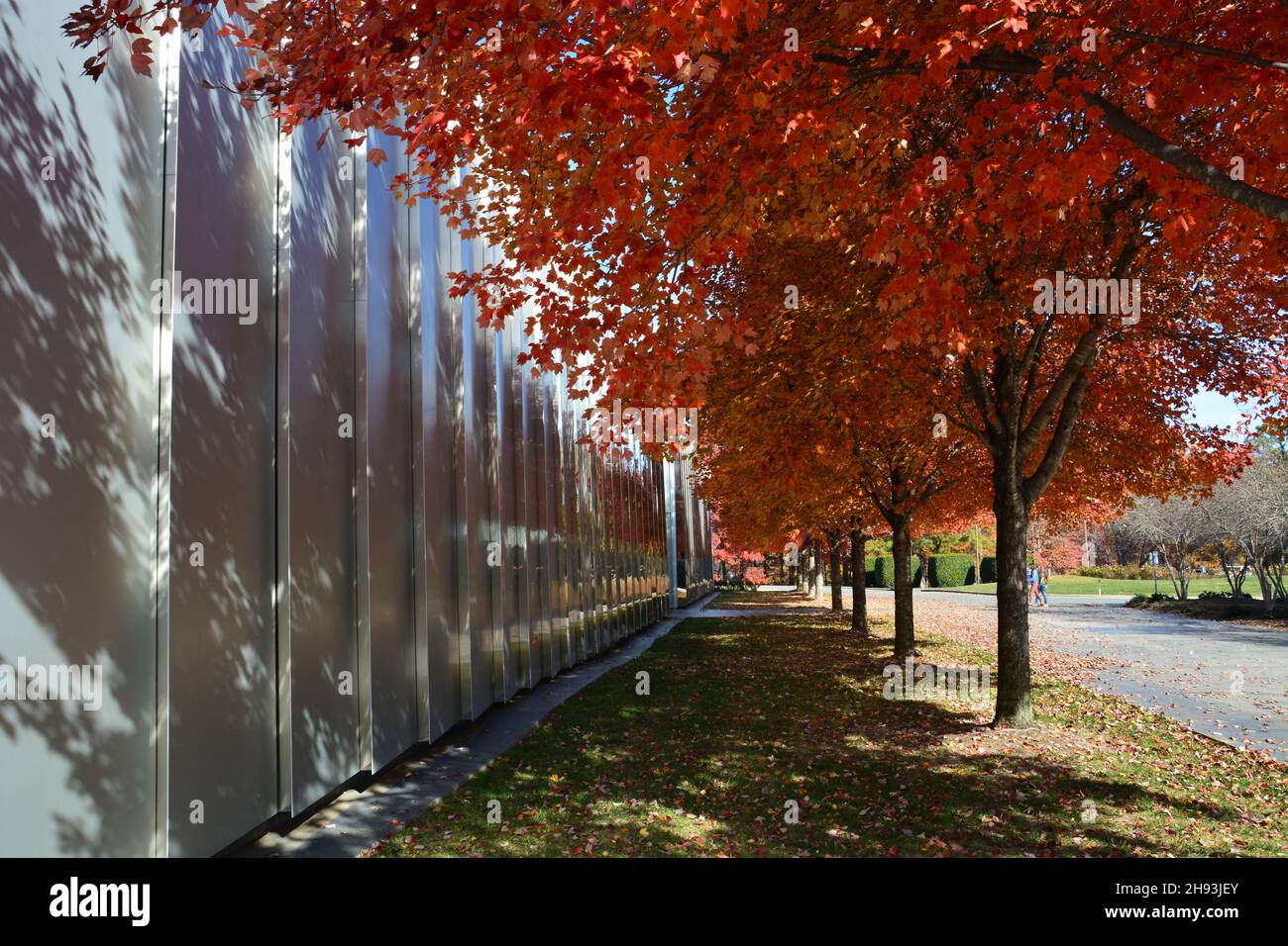 Couleurs d'automne à l'extérieur du bâtiment ouest du musée d'art de Caroline du Nord à Raleigh, en Caroline du Nord. Banque D'Images Couleurs d'automne à l'extérieur du bâtiment ouest du musée d'art de Caroline du Nord à Raleigh, en Caroline du Nord. Banque D'Images