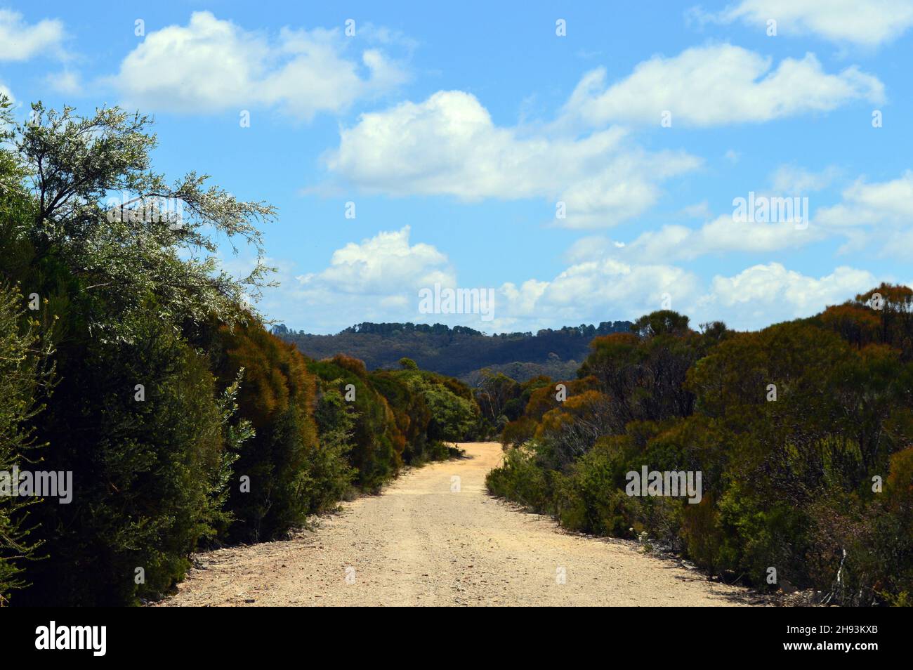 Un sentier de randonnée dans les Blue Mountains d'Australie Banque D'Images