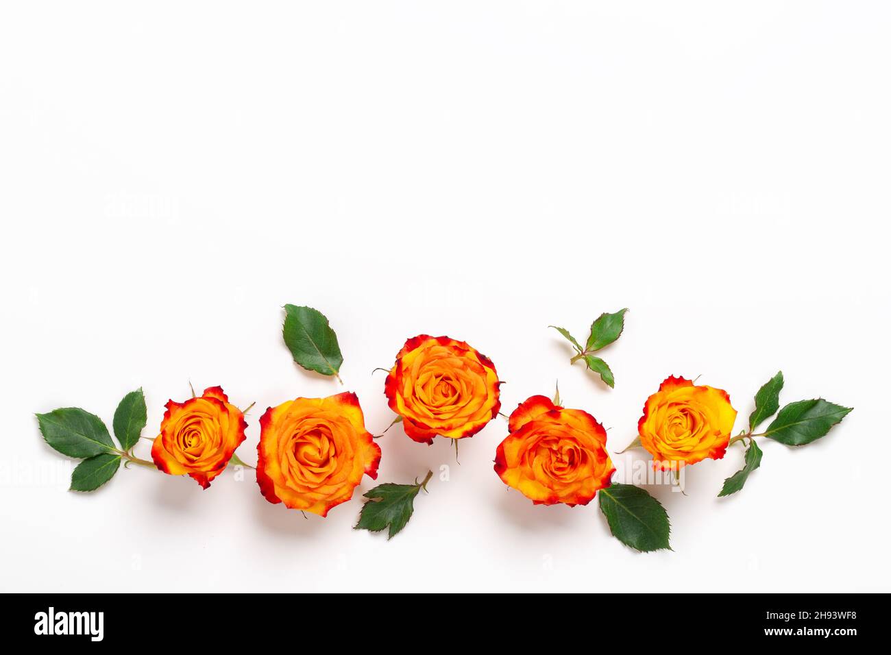 Composition des fleurs. Cadre fait de fleurs de rose et de feuilles vertes sur fond blanc. Fête des mères, concept de fête des femmes. Flat Lay, vue de dessus - image Banque D'Images