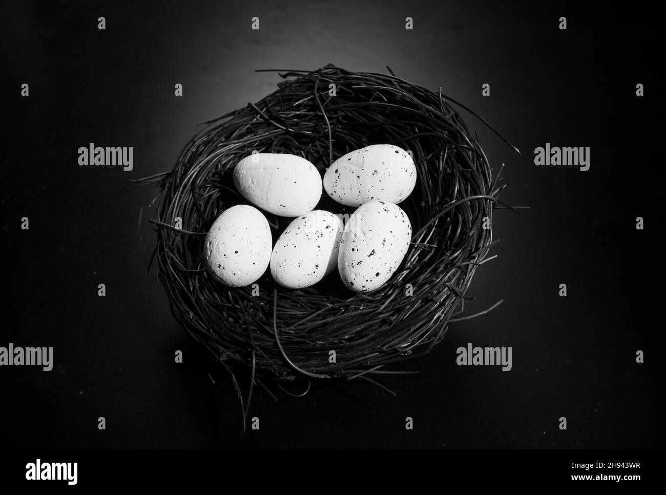Gros plan du nid d'oiseau avec deux œufs Banque D'Images