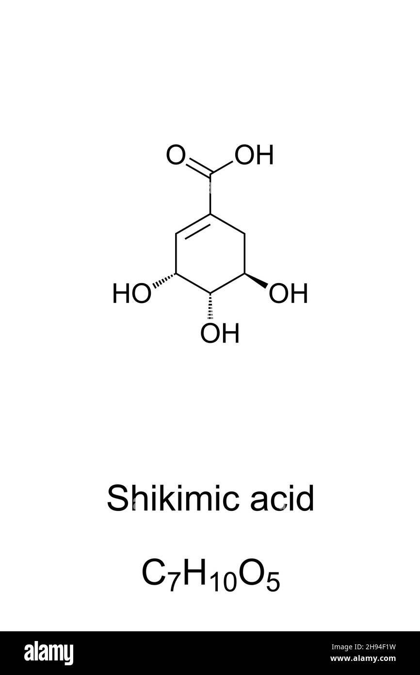 Acide shikimique, formule chimique et structure squelettique.L'industrie pharmaceutique utilise de l'acide shikimique provenant de l'anis étoilé chinois, Ilicium verum. Banque D'Images