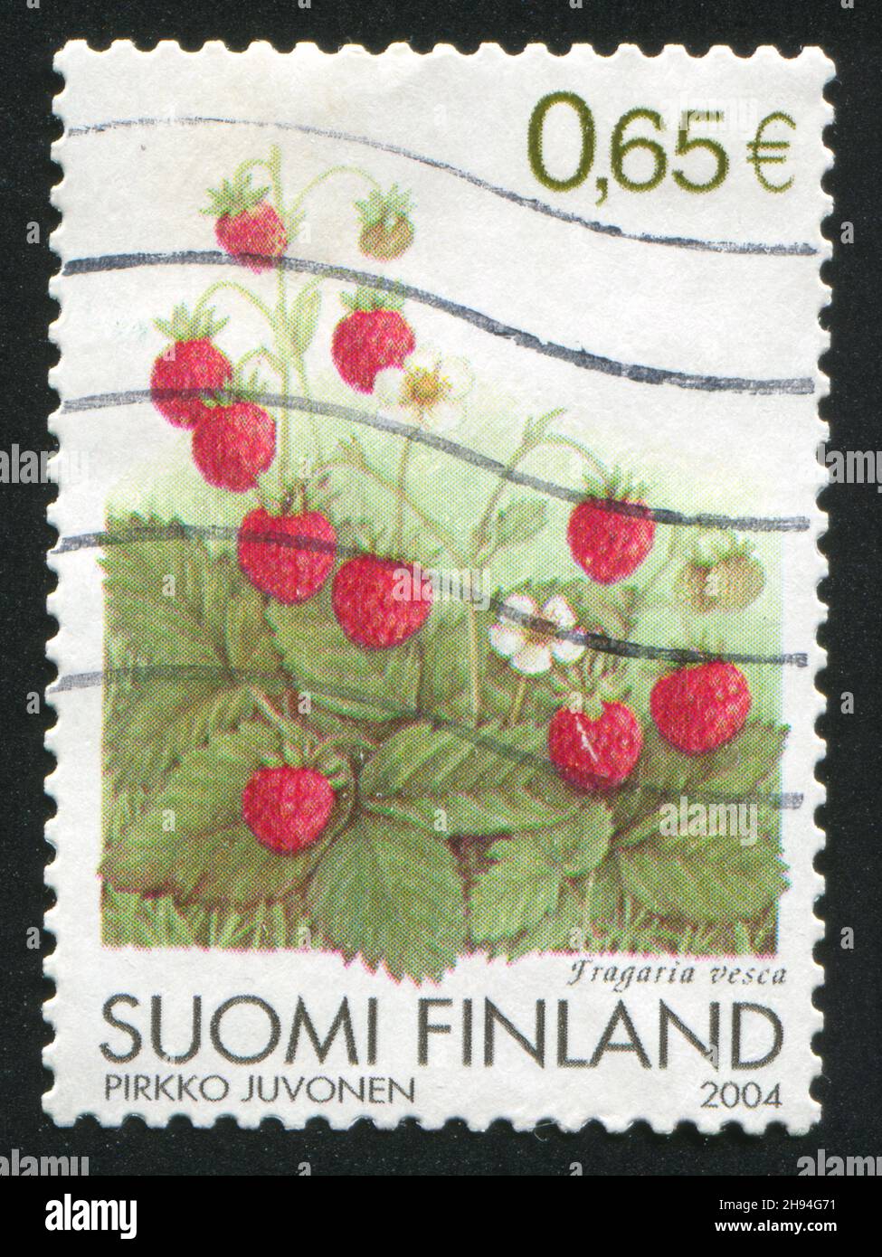 FINLANDE - VERS 2004: Timbre imprimé par la Finlande, montre des fraises sauvages, vers 2004 Banque D'Images