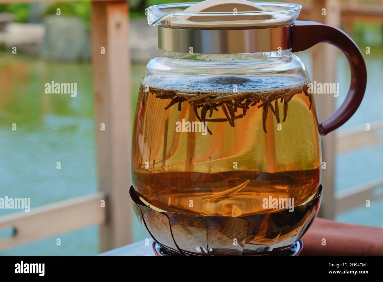 Ouverture flottante des feuilles de thé vert dans l'eau bouillante à l'intérieur de la bouilloire en verre sur fond naturel flou pendant la cérémonie du thé dans le jardin zen japonais. Banque D'Images