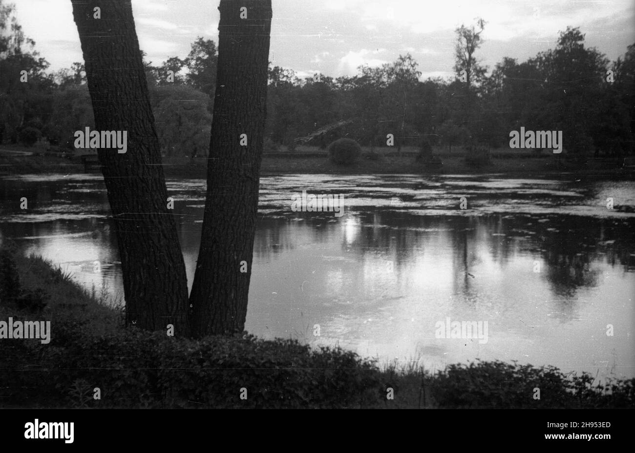 Varsovie, 1947-07-21.Staw W parku Ujazdowskim. bk PAPVarsovie, le 21 juillet 1947.Un étang dans le parc Ujazdowski. bk PAP Banque D'Images