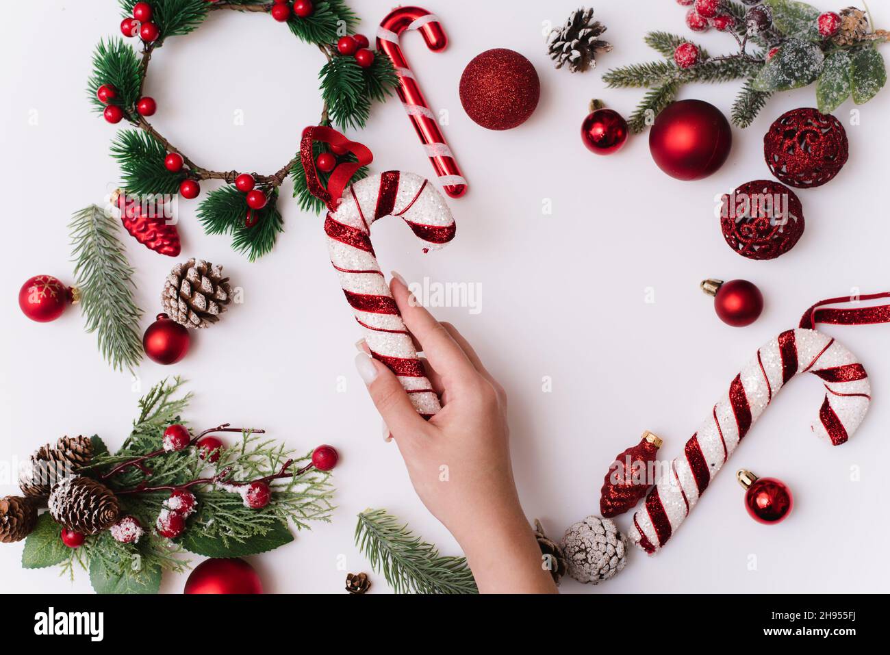 Une main femelle avec une manucure blanche tient une canne à sucre sur un fond blanc avec des branches de Noël et des décorations rouges Banque D'Images
