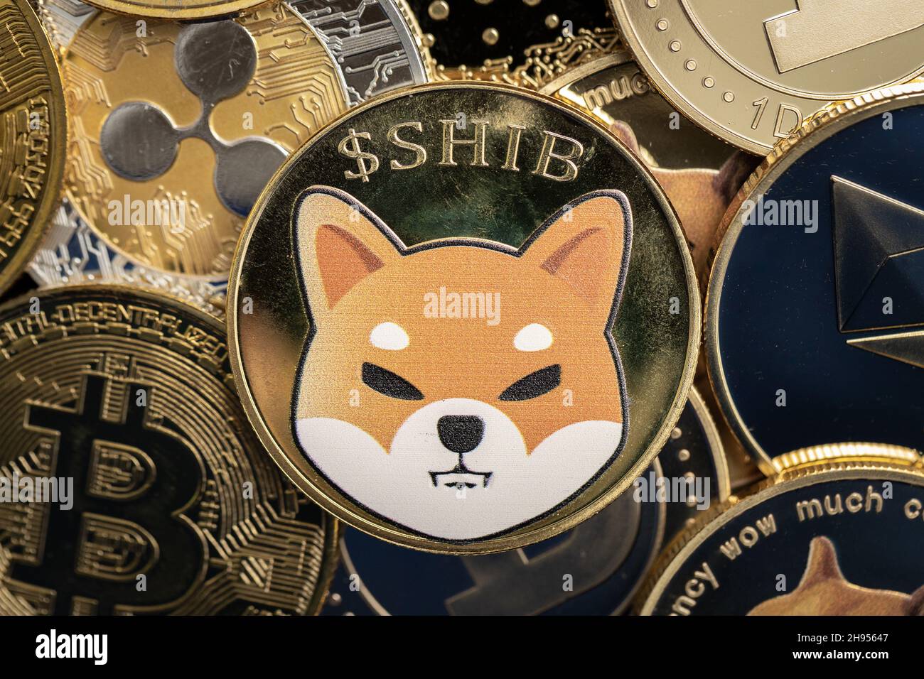 Shiba Inu - gros plan sur les pièces de crypto-monnaie, en plus des autres pièces de crypto-monnaie Banque D'Images