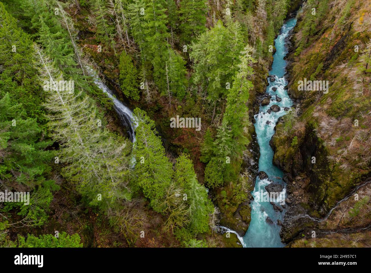 Vue depuis High Steel Bridge sur South Fork Skokomish River sur Olympic National Forest, Olympic Peninsula, État de Washington, États-Unis Banque D'Images