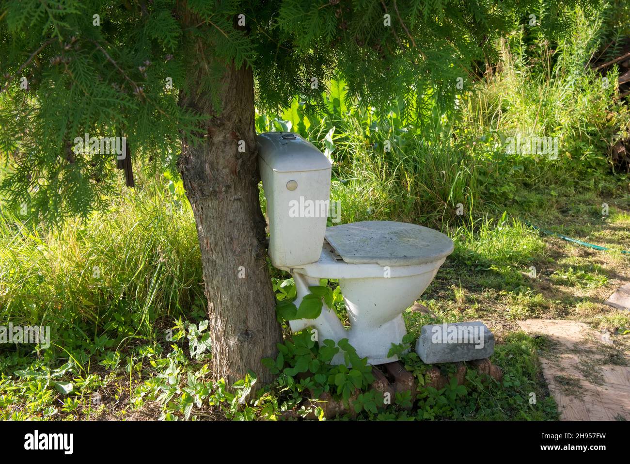 Cuvette de toilette et citerne sous un arbre en été nature de jour Photo  Stock - Alamy