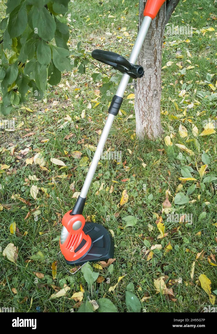 Appareils électroménagers : tondeuse-tondeuse pour couper des pelouses sur des batteries rechargeables.Présenté sur un fond d'herbe et de feuilles, vue avant, Banque D'Images