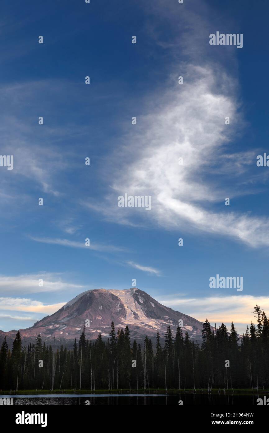 WA20487-00....WASHINGTON - Mount Adams vue depuis la forêt nationale de Horseshoe Lake Gifford Pinchot. Banque D'Images