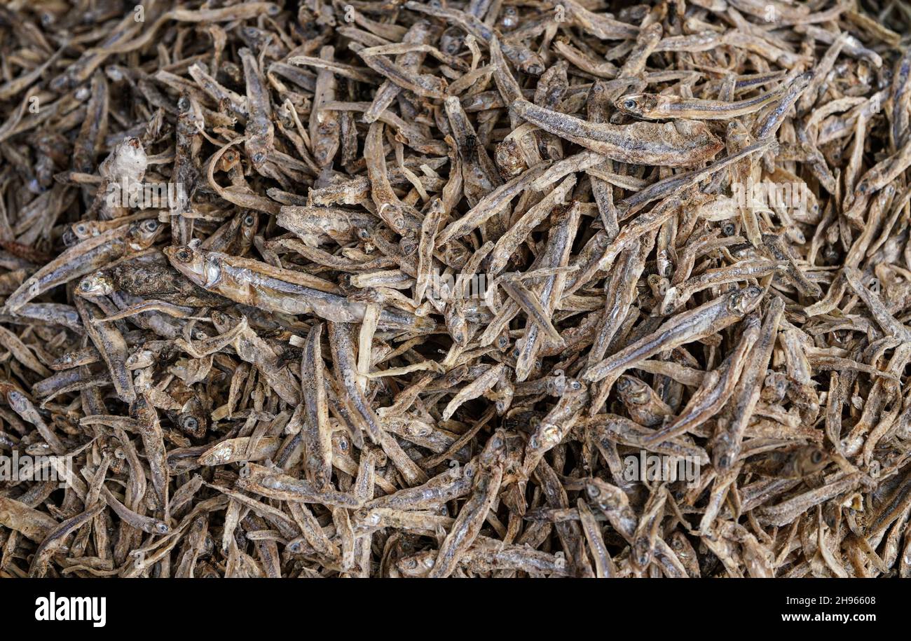 Petits poissons séchés exposés sur le marché alimentaire à Ranohira, Madagascar, gros plan Banque D'Images