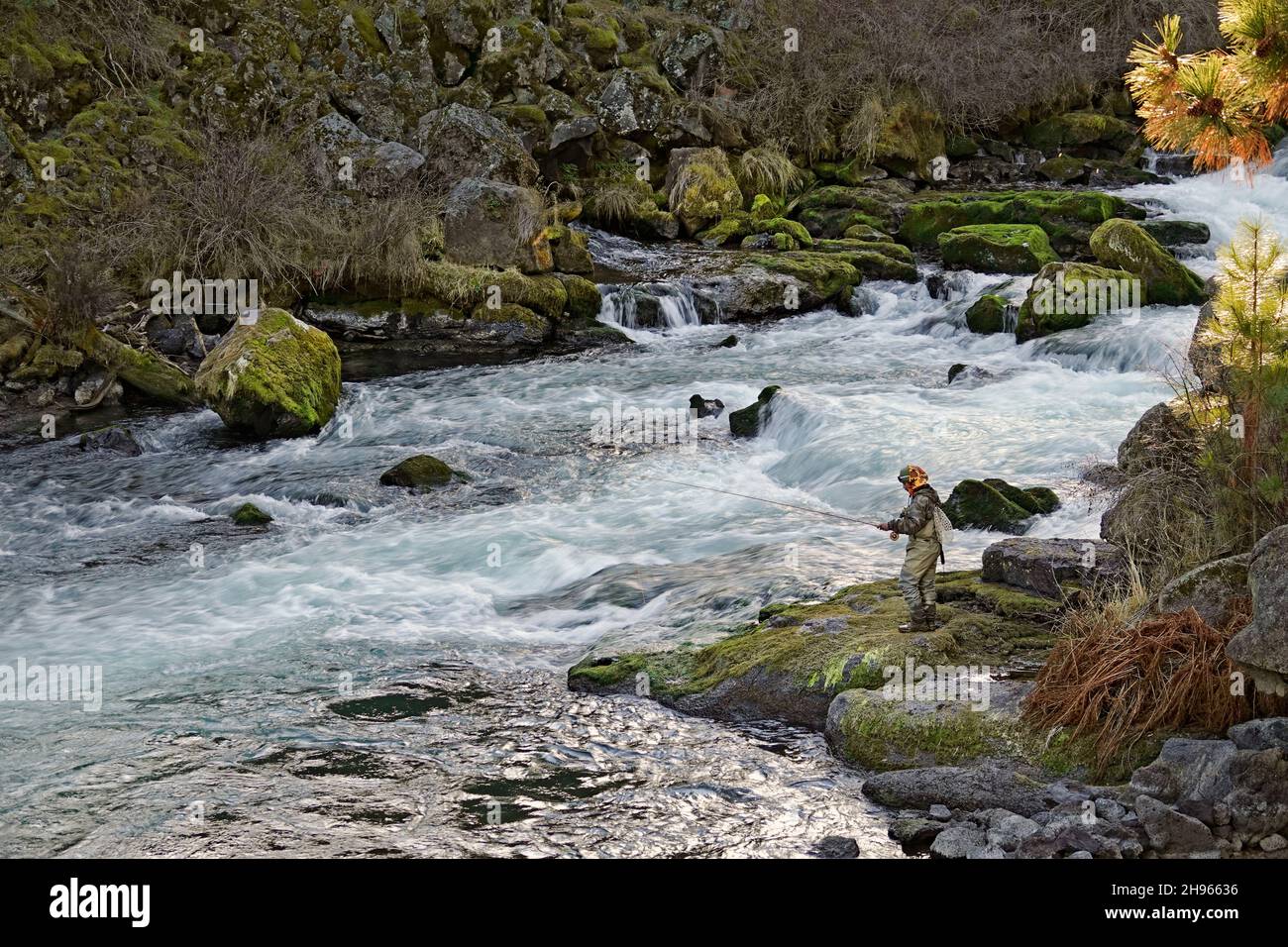 Un homme pêche à la mouche le long d'une section de Dillon Falls sur la rivière Deschutes, dans le centre de l'Oregon, près de la ville de Bend. Banque D'Images