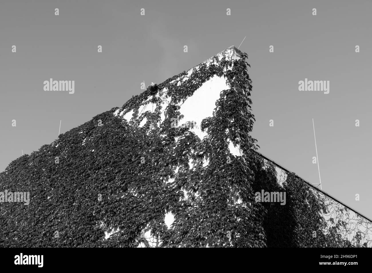 Toit d'une maison moderne en béton Photo Stock Alamy — free download