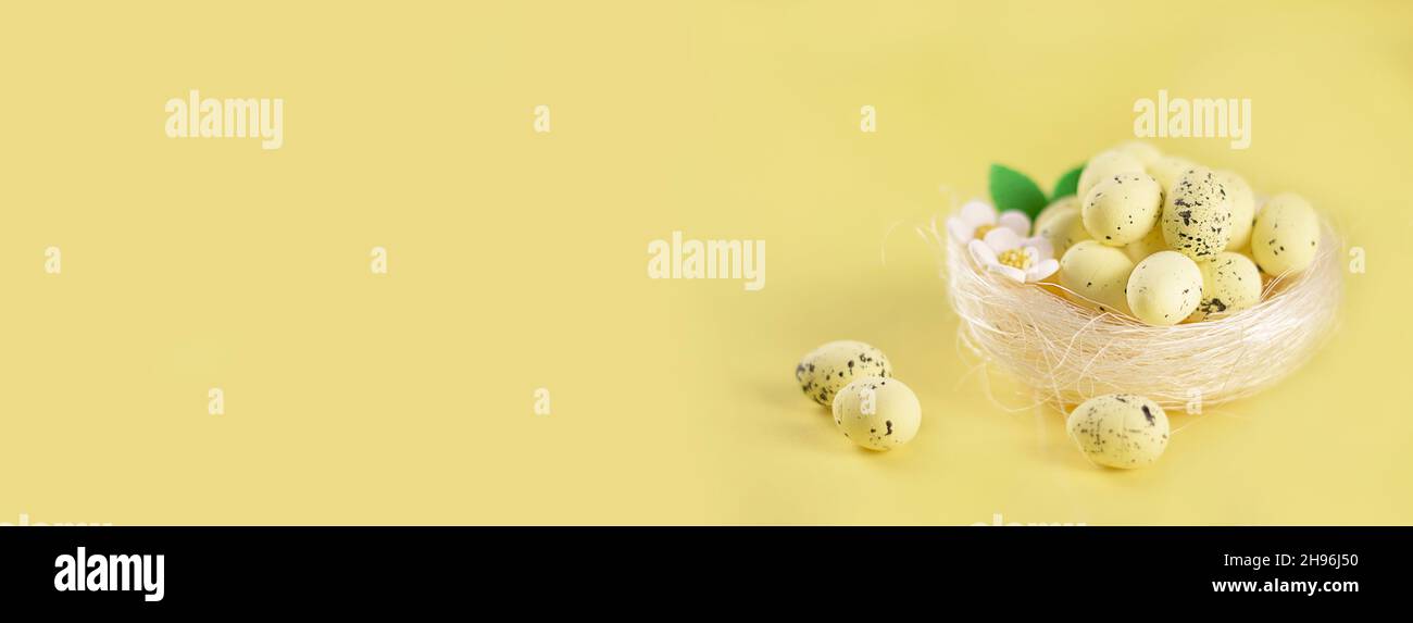 Arrière-plan de Pâques.Œufs de pâques heureux sur le nid.Oeufs de Pâques sur le nid.Œufs de Pâques.Bonne carte de Pâques.Œufs de Pâques multicolores.Jaune.Bannière.Copier Banque D'Images