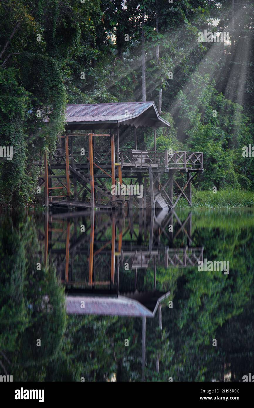 Promenade en bateau au lever du soleil à travers une jungle/forêt tropicale juste à l'extérieur de sandakan dans l'état malaisien de Sabah, sur la côte nord-est de Bornéo, en Malaisie. Banque D'Images