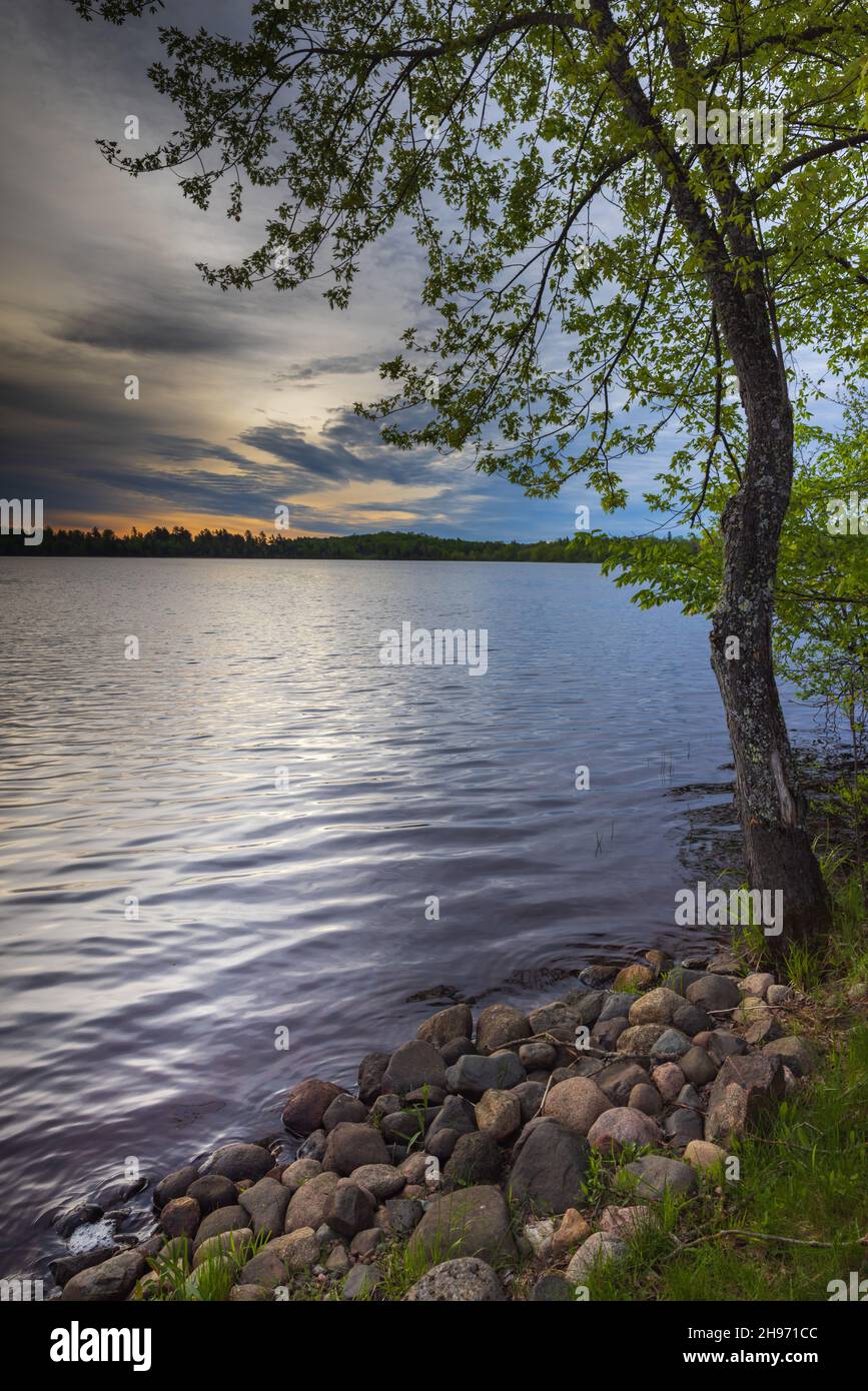 Tôt le matin, le long de la rive du lac Blaisdell, dans le nord du Wisconsin. Banque D'Images