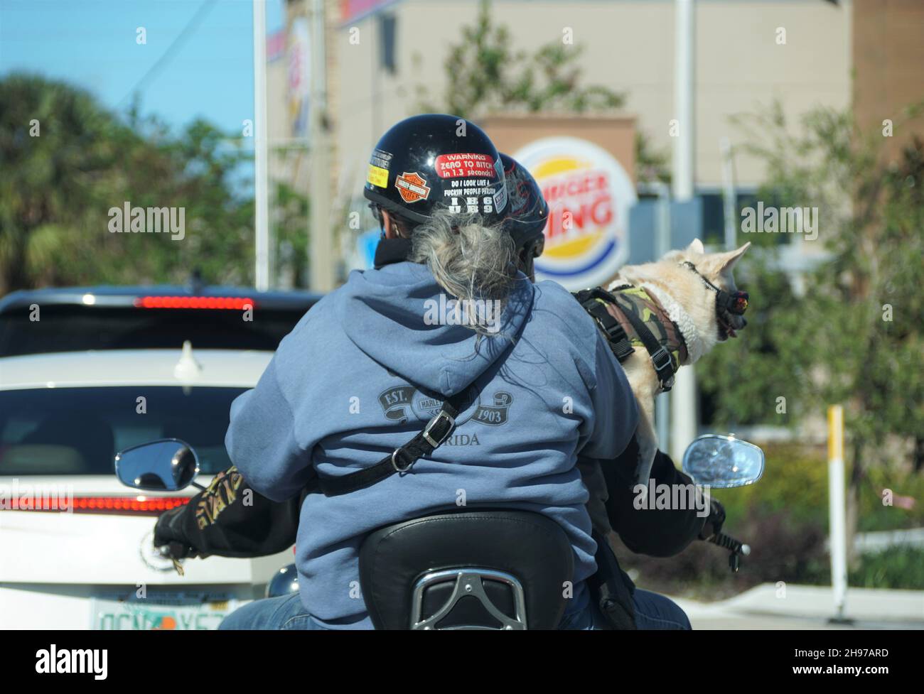 Orlando, Floride, États-Unis - 7 novembre 2021 - Un couple à moto et tenant leur chiot Banque D'Images