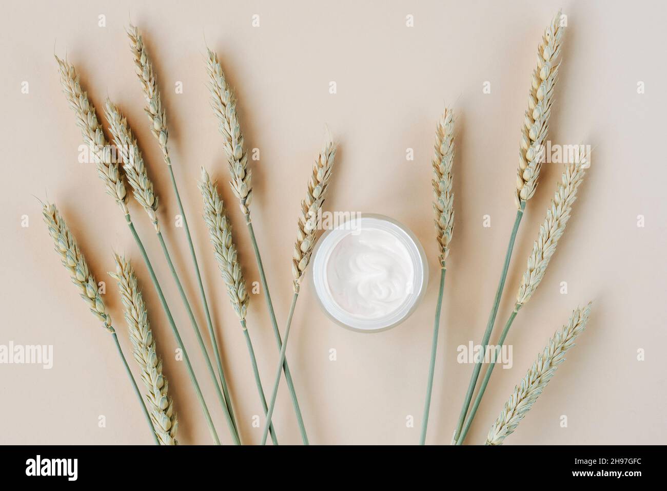 Pot de crème et oreilles de blé sur fond beige clair.Concept de cosmétiques naturels.Vue de dessus, plan d'appartement Banque D'Images