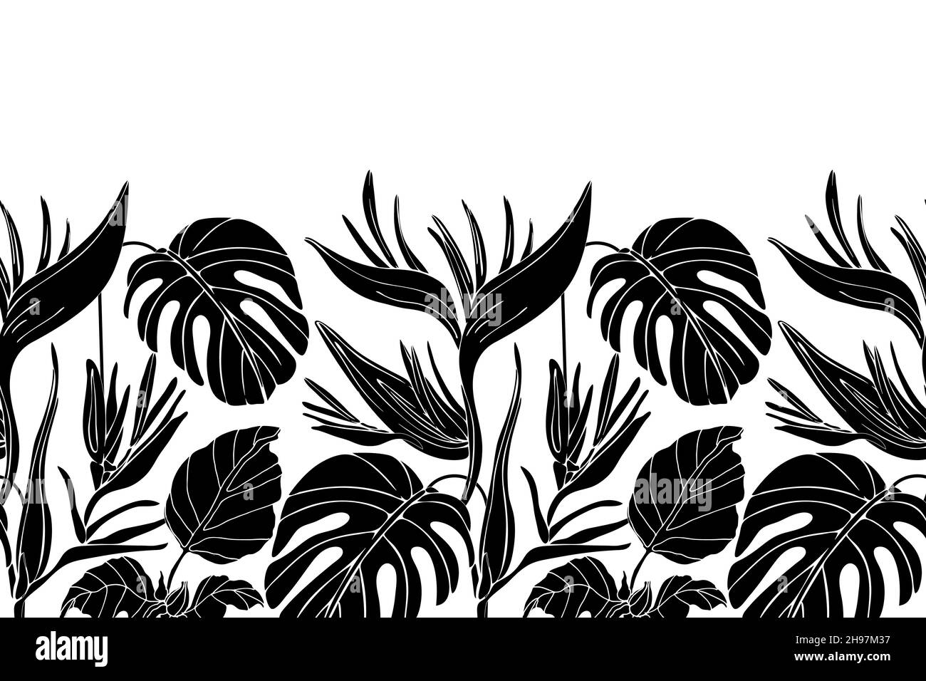 Motif tropical sans couture à motif floral vectoriel, bordure.Design horizontal panoramique avec branches et feuilles noires. Illustration de Vecteur