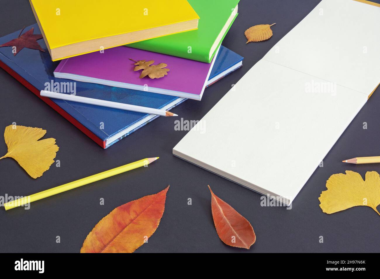 Concept scolaire. Pile de livres, crayons colorés et croquis ouverts sur fond de papier foncé. Feuilles d'automne. Espace libre pour le texte ou l'image Banque D'Images
