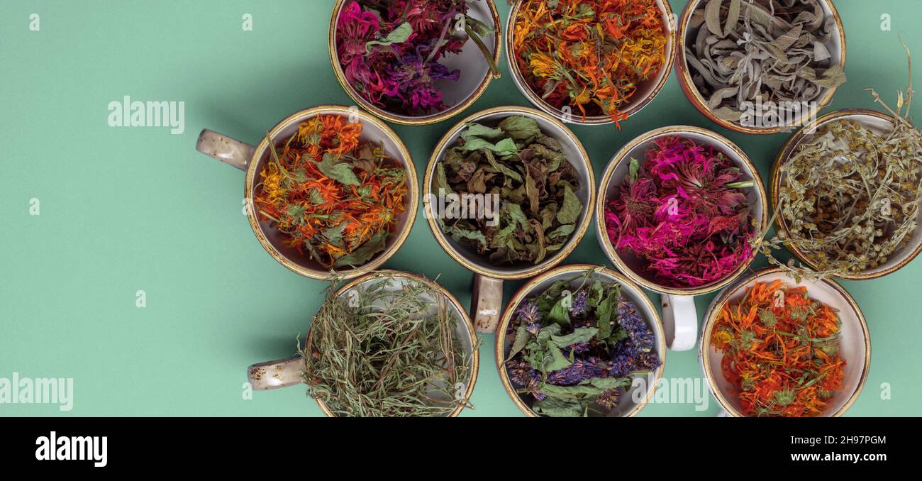 Assortiment d'herbes de thé séchées dans des tasses colorées sur fond vert menthe.Calendula, menthe, hysope anis, monarda didyma, bois de millepertuis,congé de sauge Banque D'Images