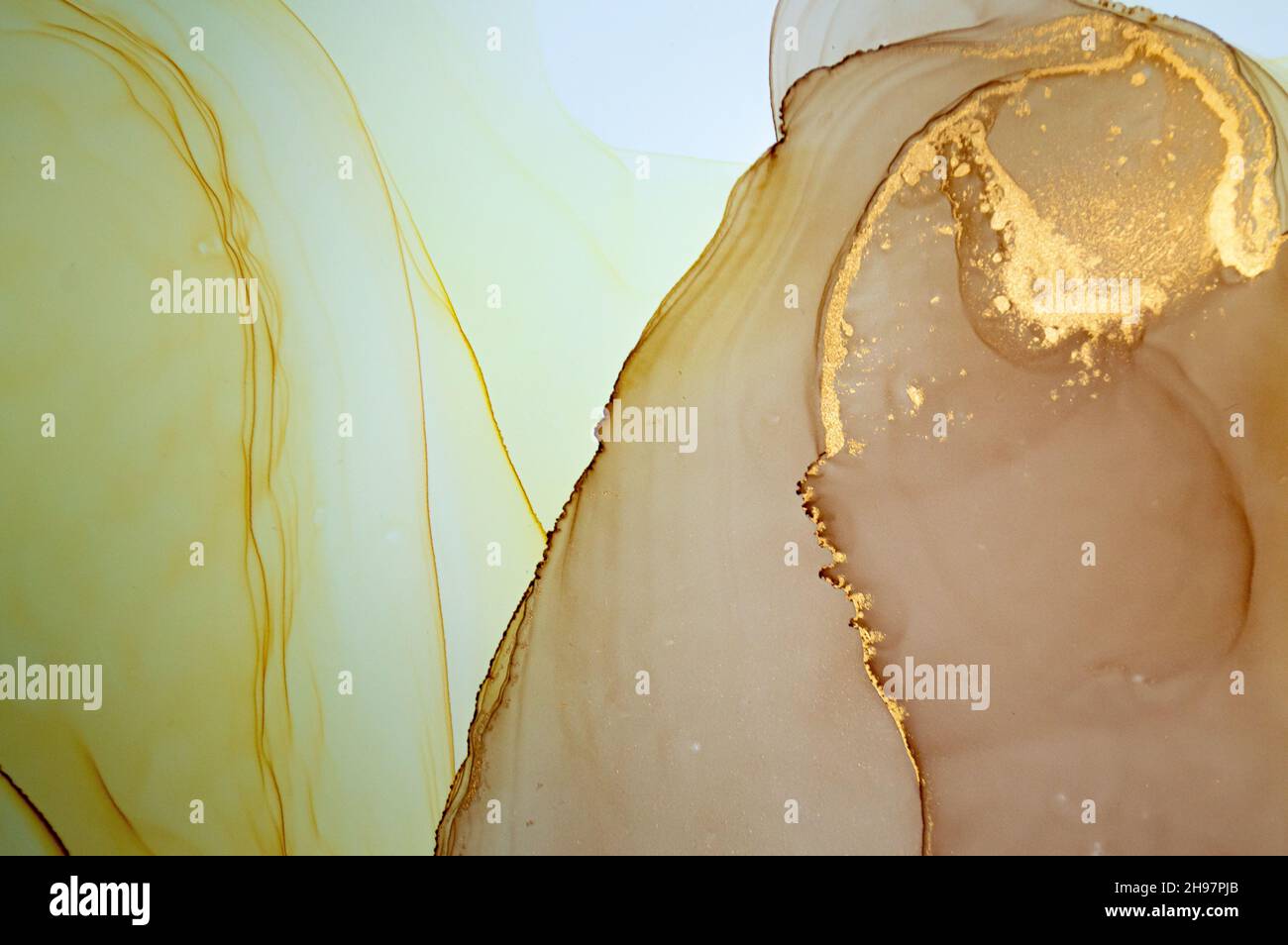 Liquide abstrait vibrant.Gouttes d'encre d'alcool.Couleur Banque D'Images