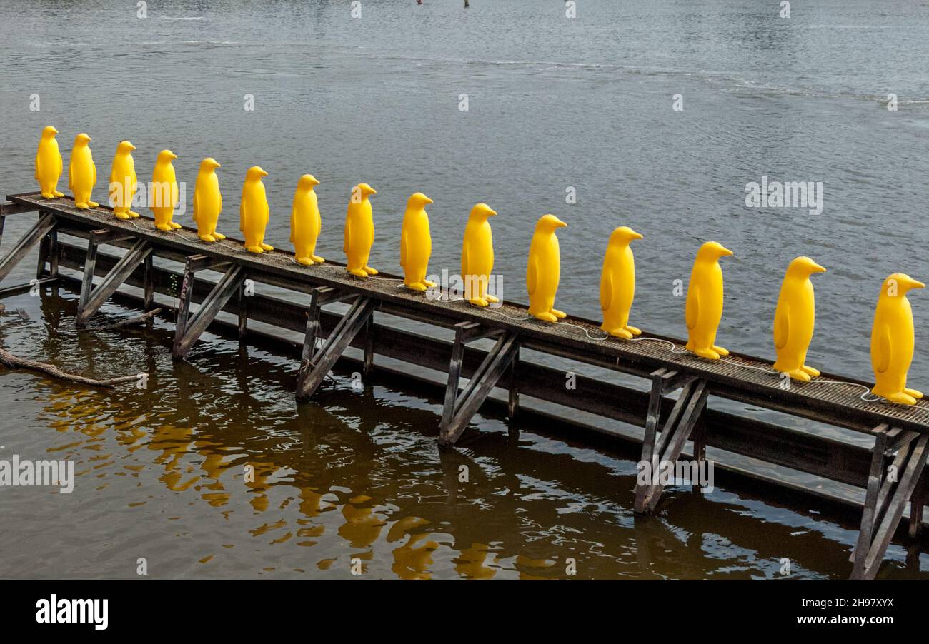 Une partie de l'installation inhabituelle de l'Art en 2008 "les pingouins marchent à travers la Vltava" souligne l'effet de la pollution de la mer sur le nombre de pingouins. Banque D'Images