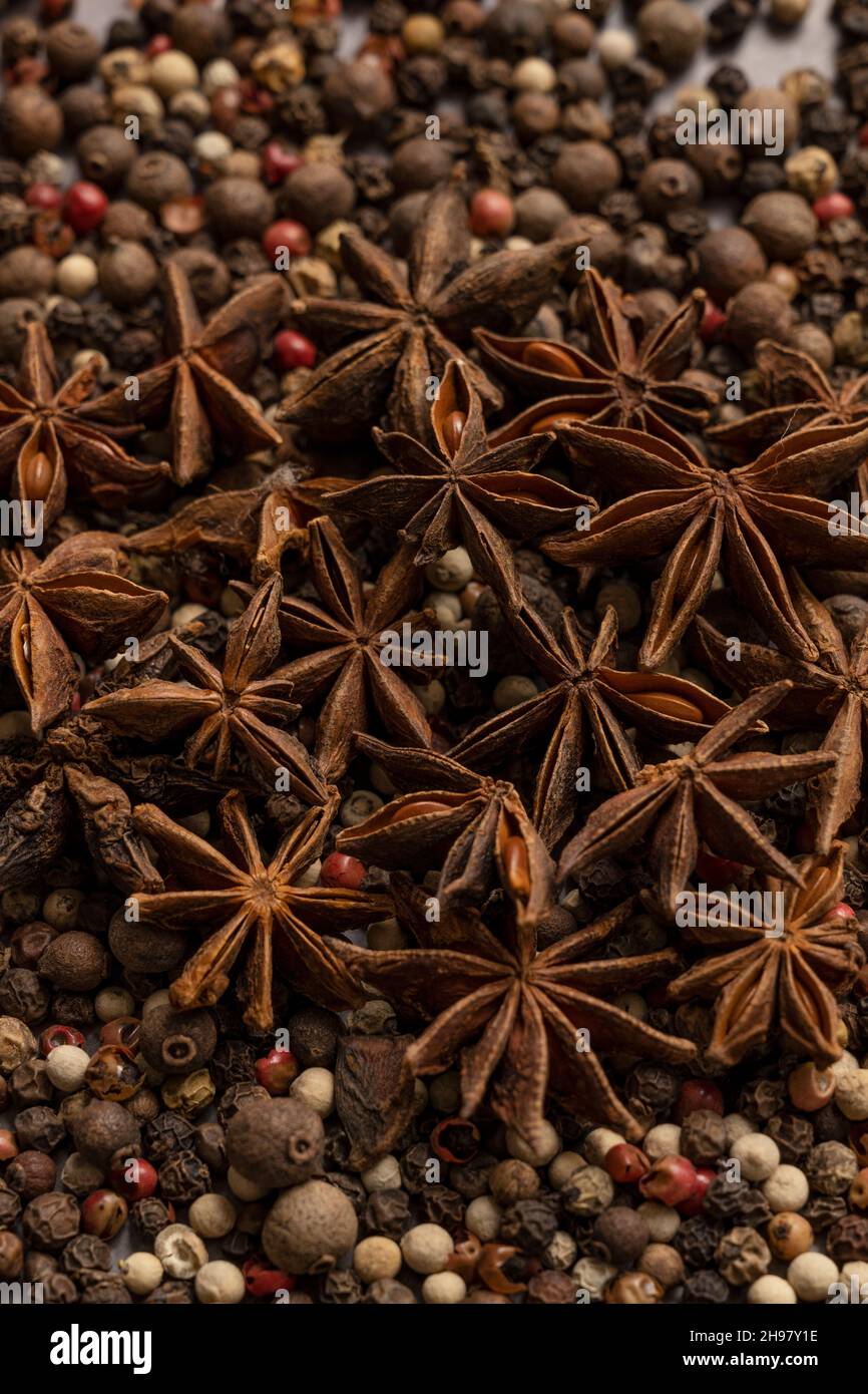 Ilicium verum, anis étoilé, anis étoilé, anis étoilé chinois, badian,badian ou Chine badian, est une épice obtenue à partir de la péricarpe de la forme en étoile f Banque D'Images