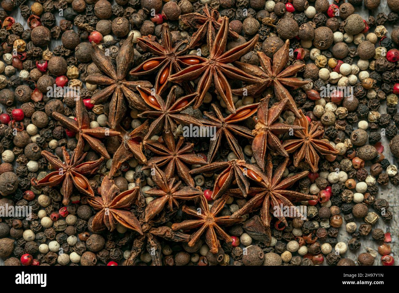 Ilicium verum, anis étoilé, anis étoilé, anis étoilé chinois, badian,badian ou Chine badian, est une épice obtenue à partir de la péricarpe de la forme en étoile f Banque D'Images
