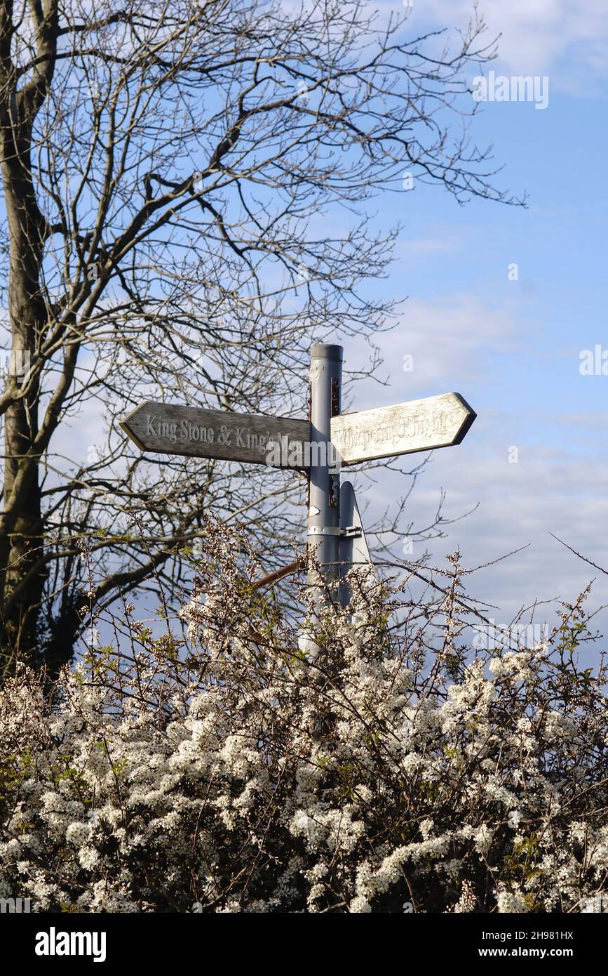 Signalisation au-dessus d'une cerise à fleurs aux pierres à rollright, sur la frontière de l'Oxfordshire et du Warwickshire. Banque D'Images