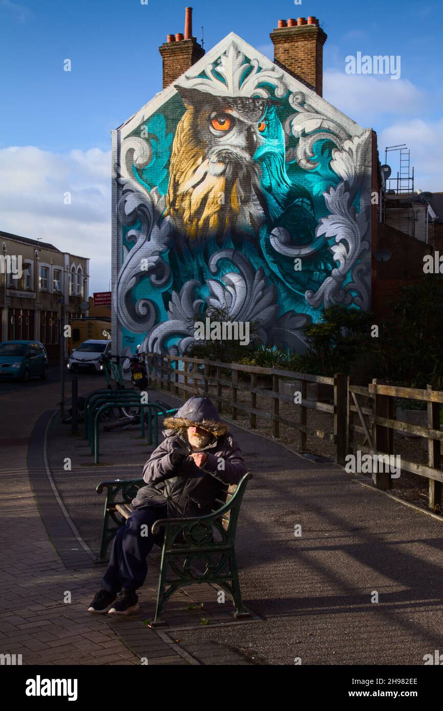 Vieux homme sur banc devant Une fresque d'un hibou d'aigle par Tech Moon à Boscombe en automne Banque D'Images