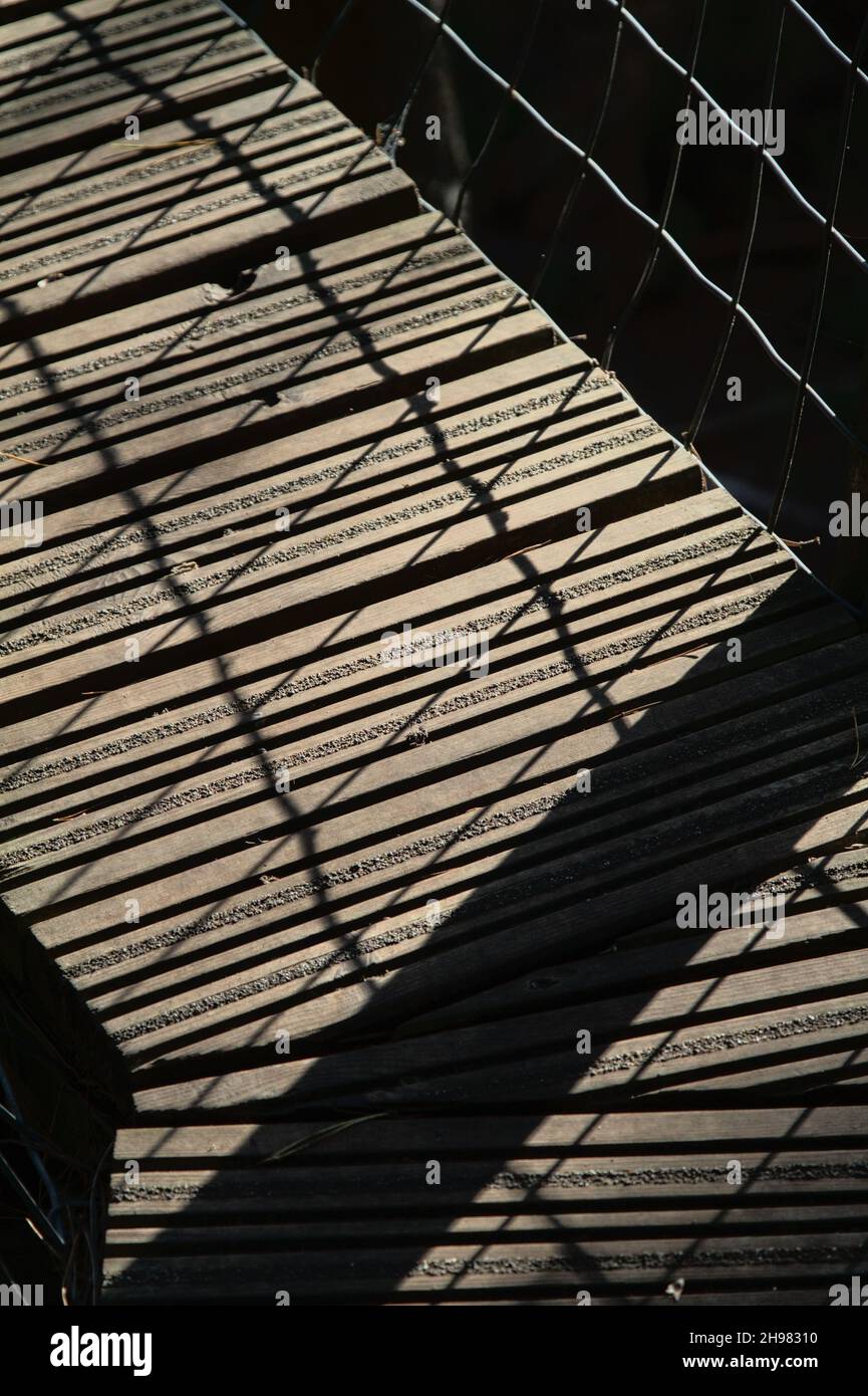 Promenade en bois avec ombres moulées par Fence métallique, Ringwood Forest UK Banque D'Images